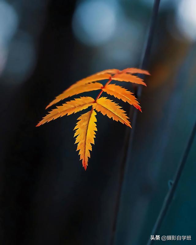 摄影零基础，咋拍出好看照片，试试这9个教科书式摄影技巧