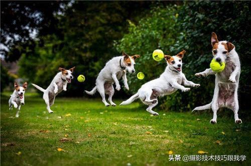 摄影技术课：学习摄影，15个知识点快速入门