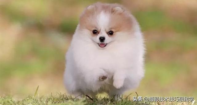 摄影技术课：学习摄影，15个知识点快速入门
