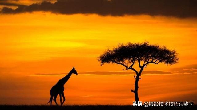 摄影技术课：学习摄影，15个知识点快速入门
