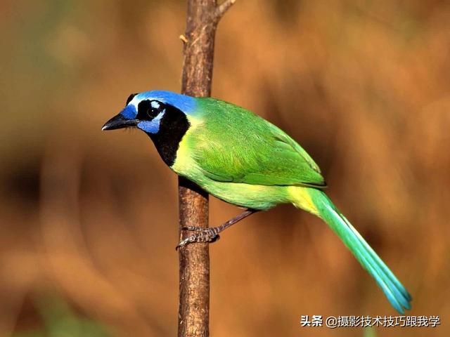 摄影技术课：学习摄影，15个知识点快速入门
