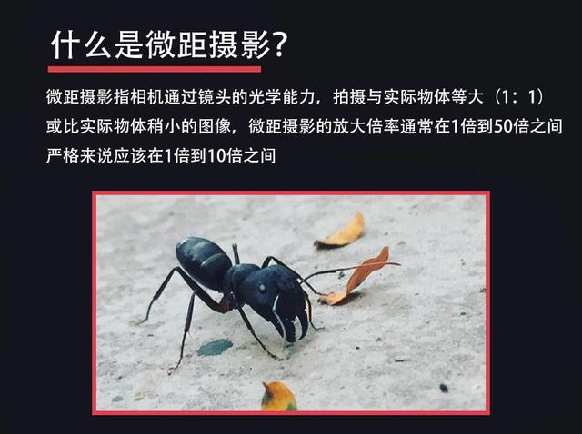 图文并茂：详解摄影中重要的50个专业术语，打破您的“搜索”依赖