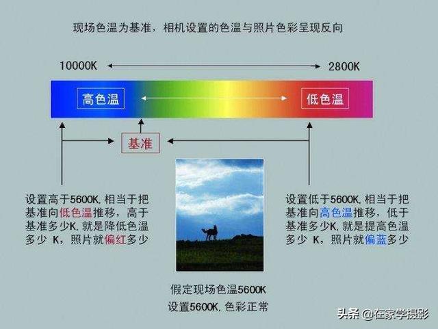 新手怎么学单反摄影技术？从这10个方面开始，让摄影变得更简单