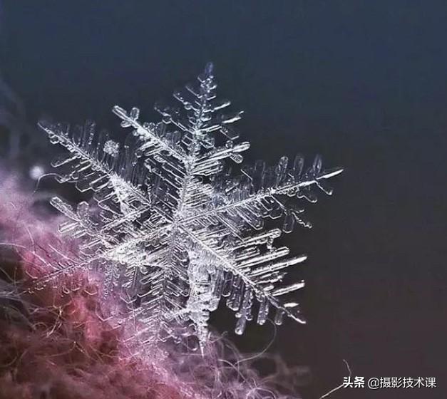 摄影技术课：相机什么样的功能适合什么样的题材，新手认知课