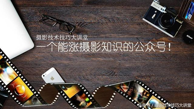 摄影技术课：拍鸟怎么拍？看完这篇文章，定会让你胸有成竹