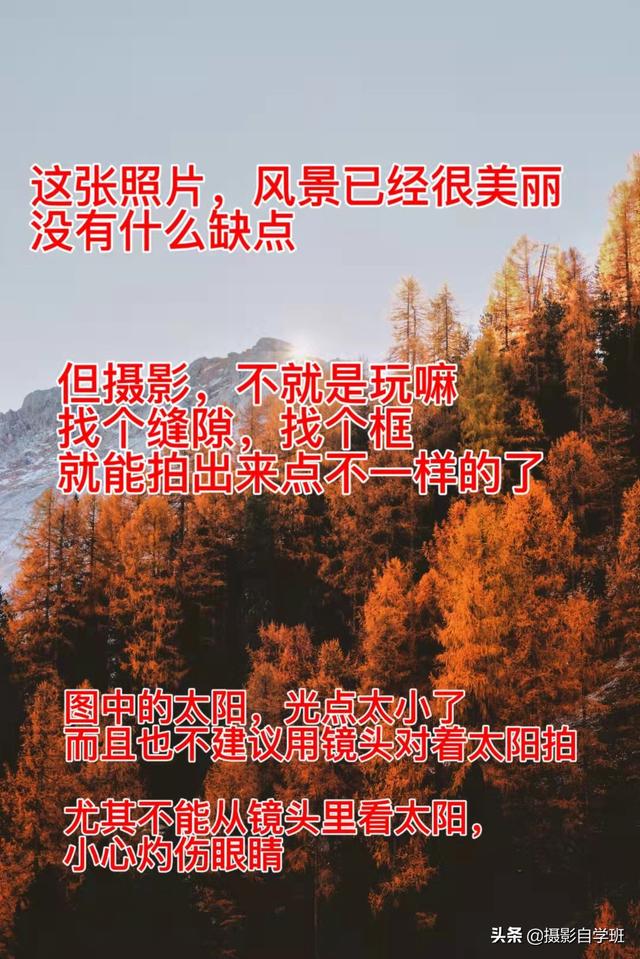 新手想拍美秋天照片，看这篇摄影教程就够了，给你思路还给你方法