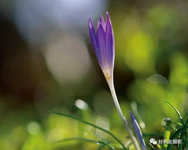 「摄影技法」摄影界十种流行效果的技术要点与操作细节