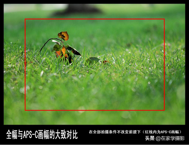 相机重要还是摄影技术重要？“好钢用在刀刃上”，新手别急换相机