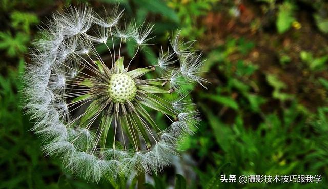 摄影技术课：手机拍出好照片，你需要了解这些