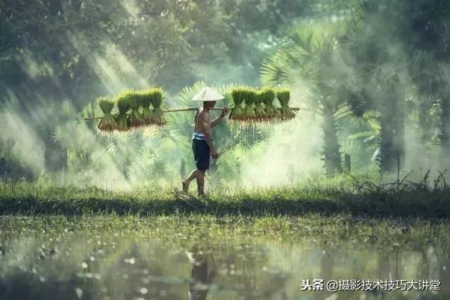 摄影技术课：这一篇文章对你摄影构图能力的提升非常重要