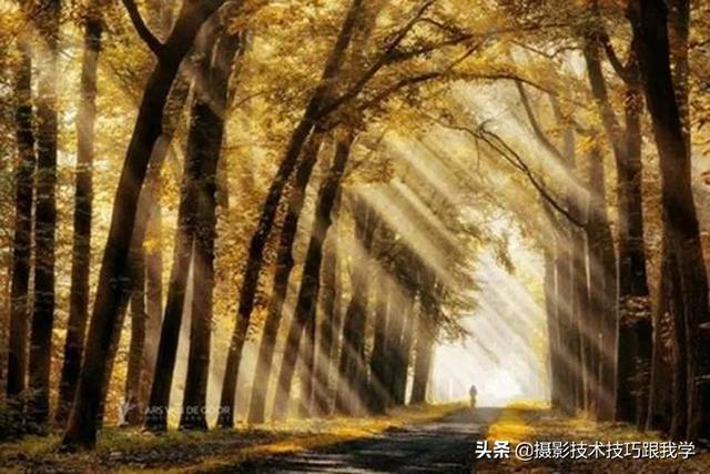 摄影技术课：你拍不出好照片，原因在这里