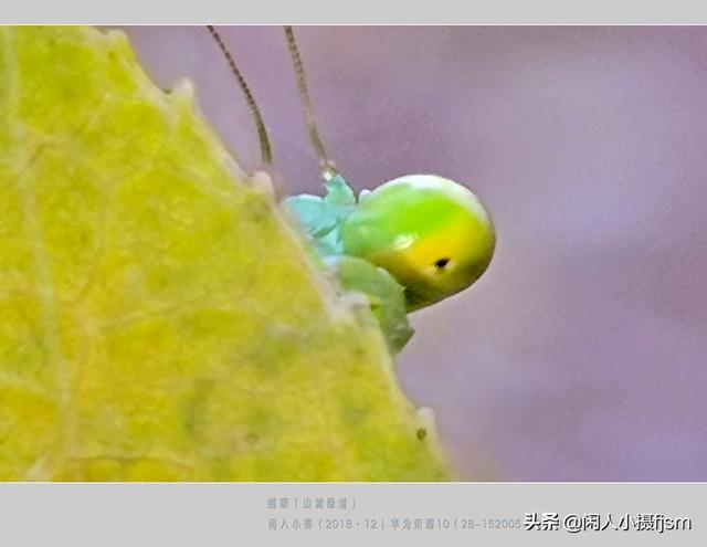 摄影图文：摄影初级爱好者，如何简单有效的提高摄影技术