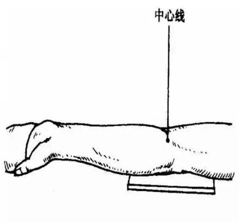 X线摄影技术完整收藏篇——工作必备