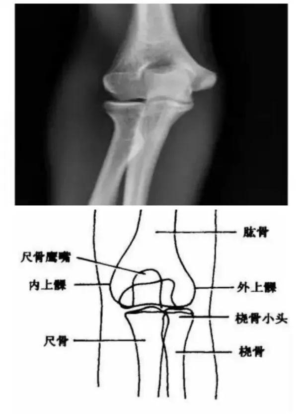 X线摄影技术完整收藏篇——工作必备