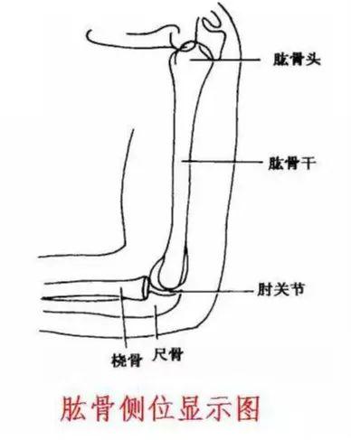X线摄影技术完整收藏篇——工作必备