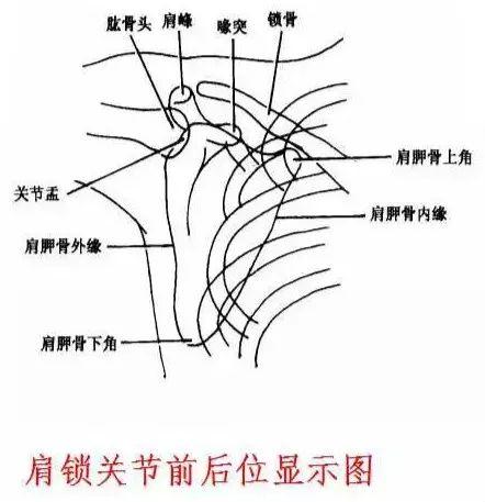 X线摄影技术完整收藏篇——工作必备