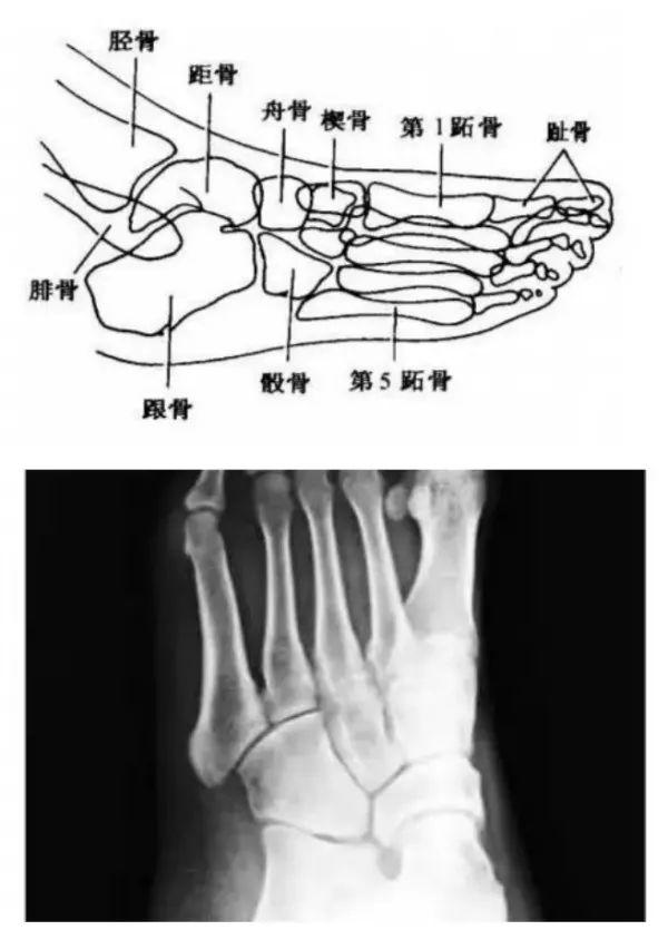 X线摄影技术完整收藏篇——工作必备