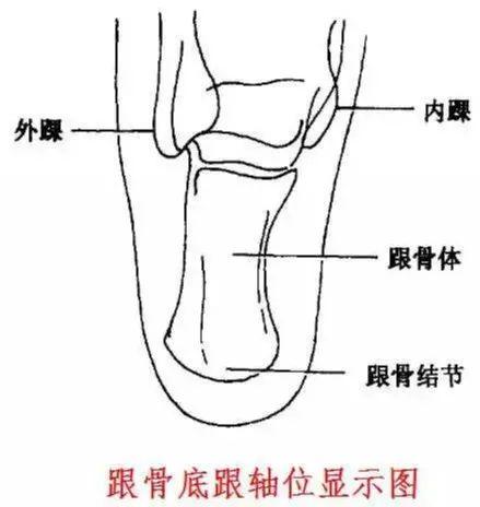 X线摄影技术完整收藏篇——工作必备