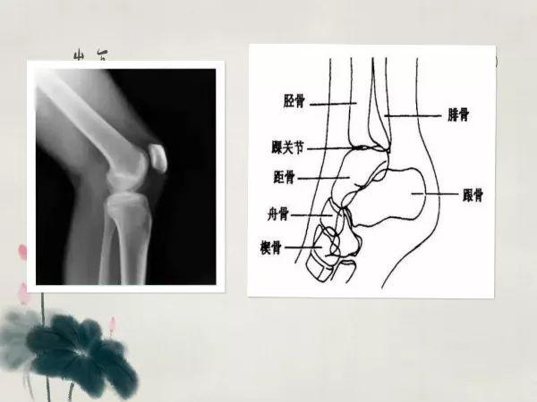 X线摄影技术完整收藏篇——工作必备