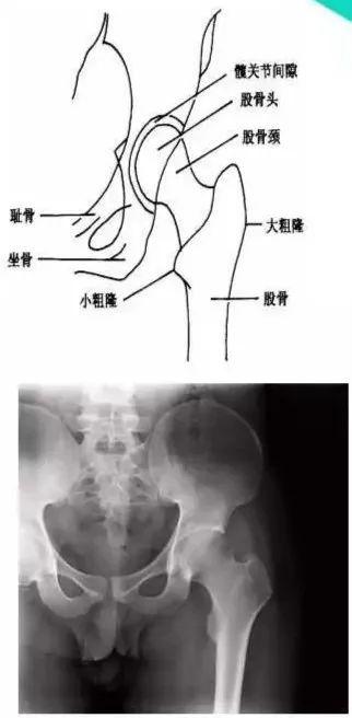 X线摄影技术完整收藏篇——工作必备