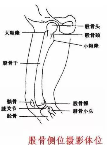 X线摄影技术完整收藏篇——工作必备