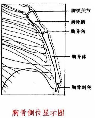 X线摄影技术完整收藏篇——工作必备