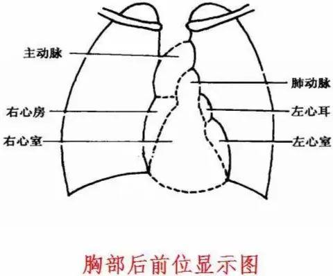 X线摄影技术完整收藏篇——工作必备