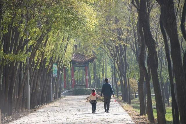 摄影作品技术要求-14.摄影构图与后期调整