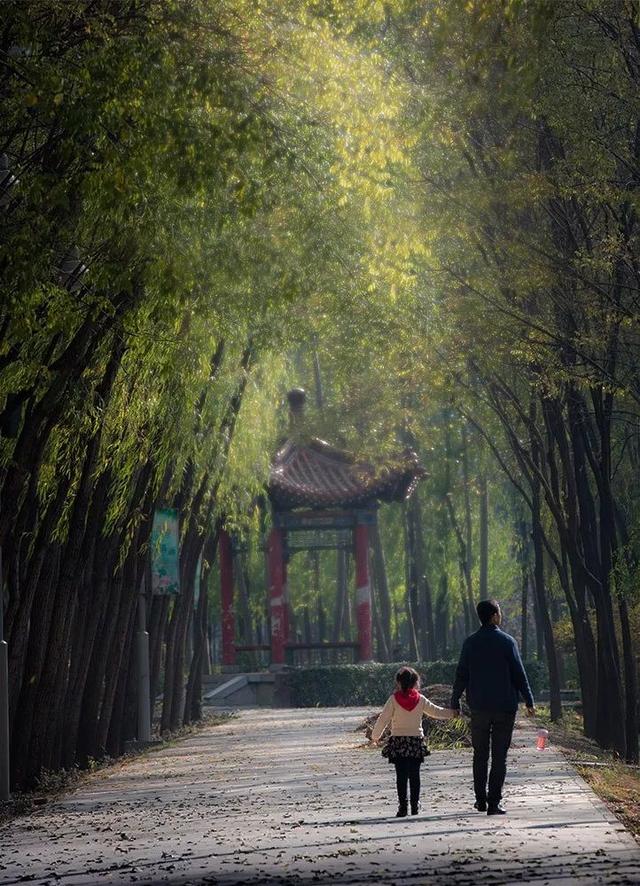 摄影作品技术要求-14.摄影构图与后期调整