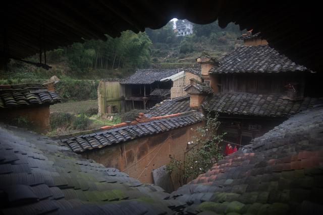 摄影作品技术要求-14.摄影构图与后期调整
