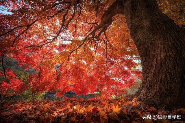 不要浪费，用摄影留下美景，这6个摄影技巧正是你要寻找的