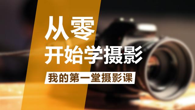 零基础学摄影，学会视觉原理，让你的摄影技术事半功倍