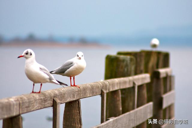 这6条摄影技巧，简单易用，却常被摄影小白忽视