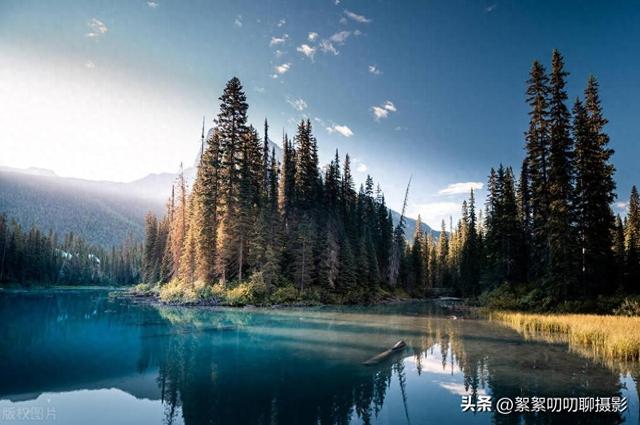 怎么提高拍照技术？