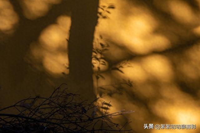 怎么提高摄影技术？