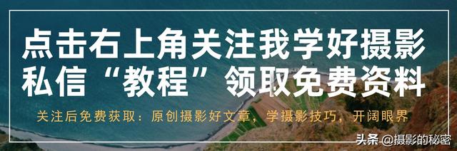 不知道怎么学摄影？教你3种入门摄影的方式