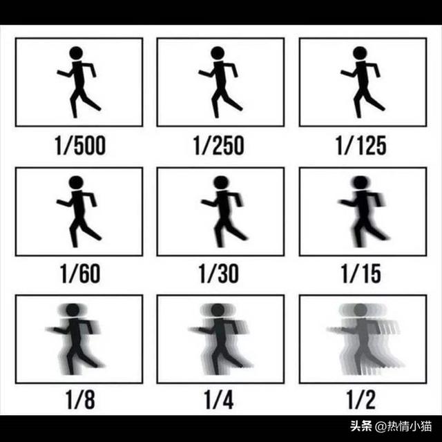 从零开始学摄影 十五天掌握摄影技术