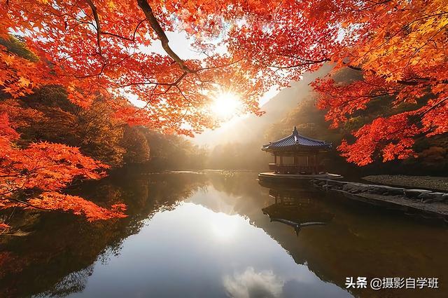 拍美风景照片的8个摄影技巧，新手也能看懂，更能拍得出