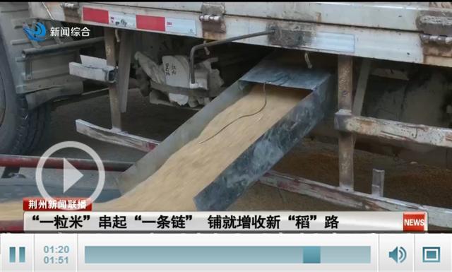 江陵县六合垸管理区：“一粒米”串起“一条链” 铺就增收新“稻”路